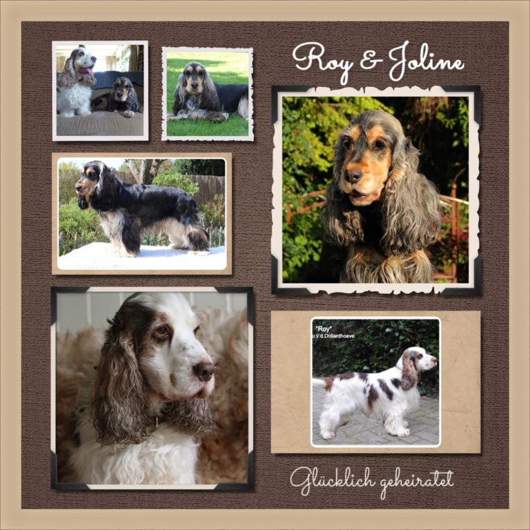 Roy und Joline